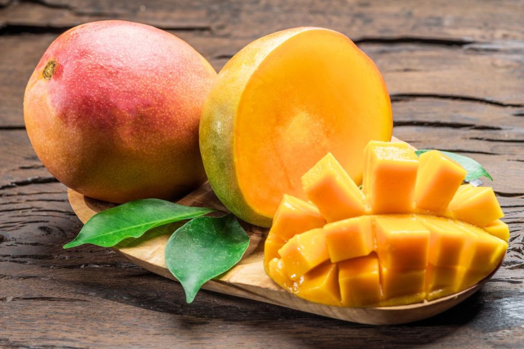 faire germer le noyau de mangue