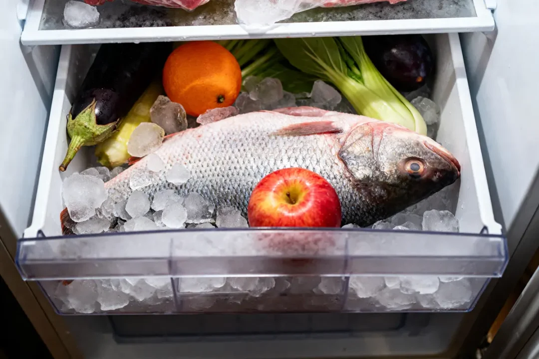 Poisson, légumes et fruits dans congélateur entrouvert 12h remplis de glaçons