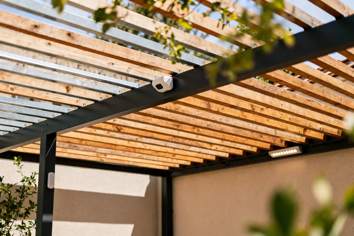 Structure en bois moderne pour aménagement pergola avec lattes et vignes suspendues