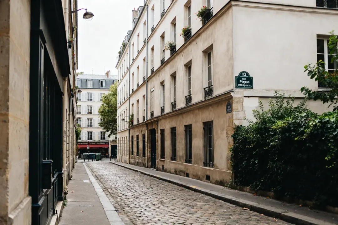 Rue Picpus pavée avec immeubles parisiens et verdure abondante sur le trottoir