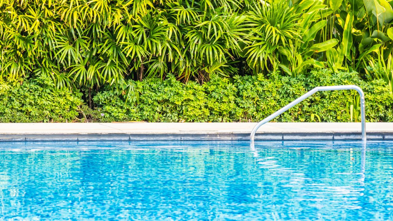 Une piscine extérieure avec des plantes pour une jolie décoration naturelle