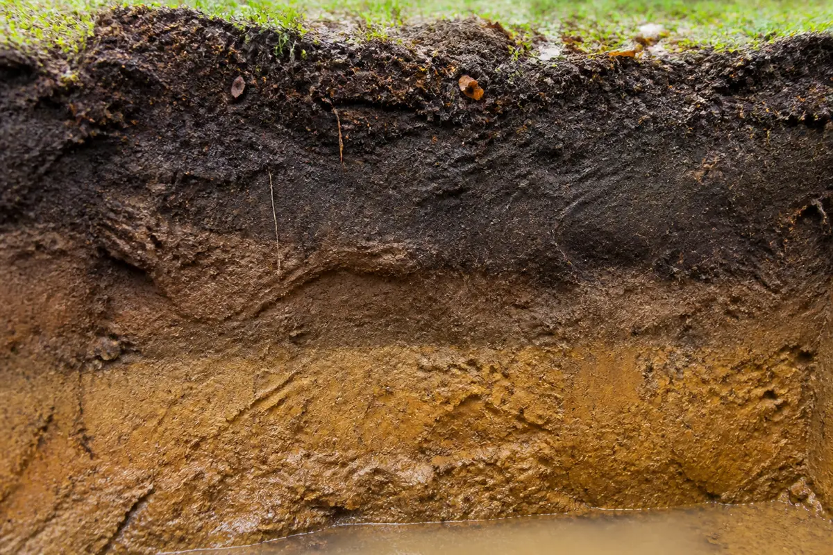 Coupe de sol montrant différentes couches, illustrant la densité de la terre végétale.