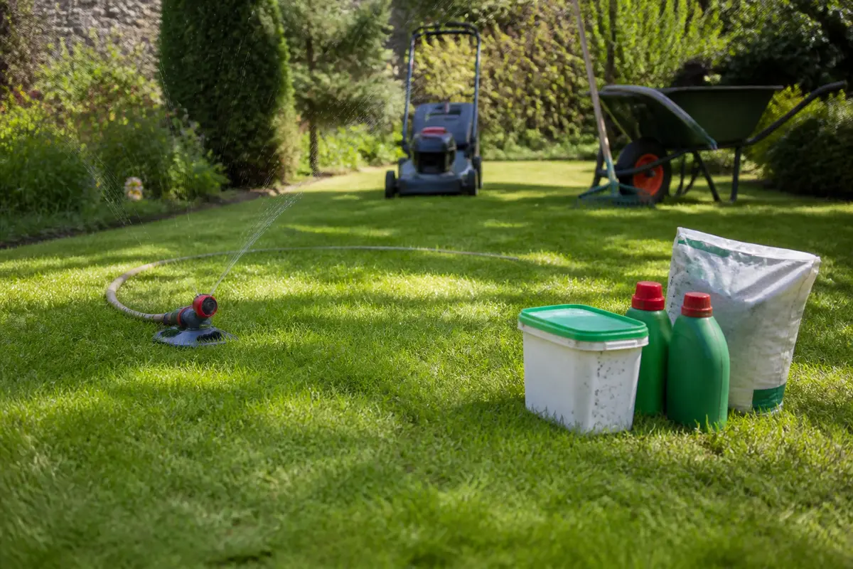 Arrosage et tonte, entretien soulignant les inconvénients du gazon anglais en jardin résidentiel